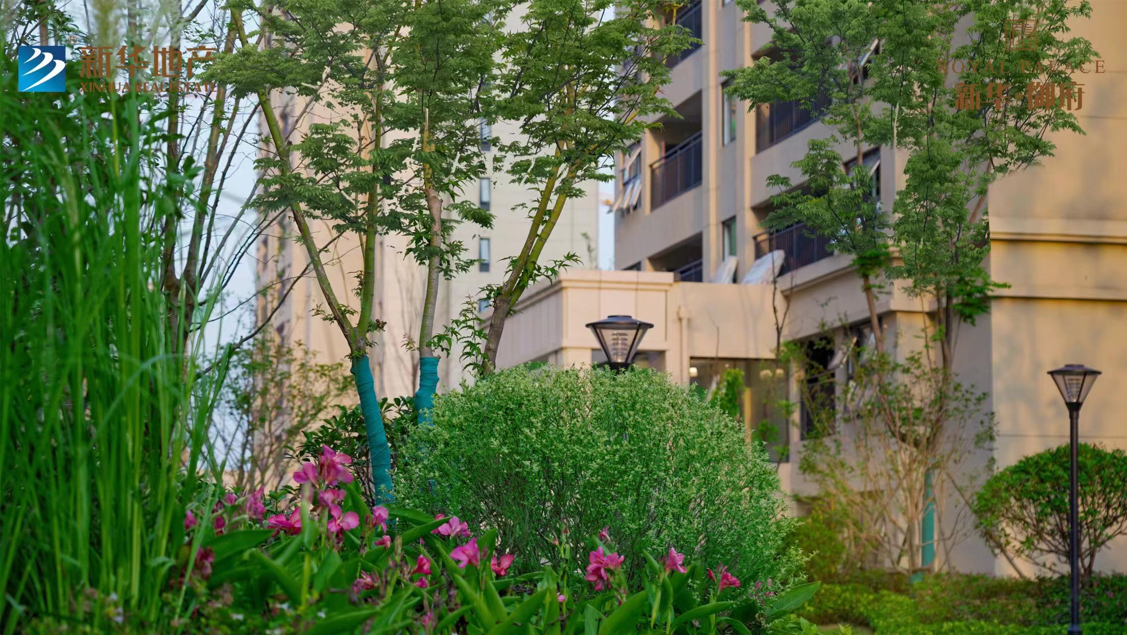 微信图片_20230627085149.jpg 微信图片_20230627085149.jpg